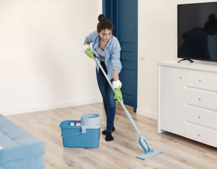 Femme de ménage Pecquencourt